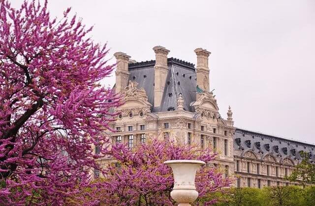 Map of the most beautiful Parisian trees